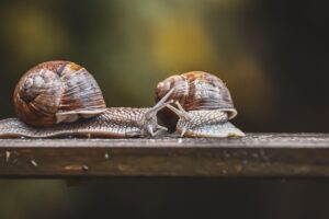エアコンをつけっぱなしにしても電気代を節約する方法は？