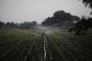 一人暮らしに最適な節水グッズはどれですか？