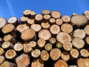 光熱費削減の方法は一人暮らしでも実践できる？