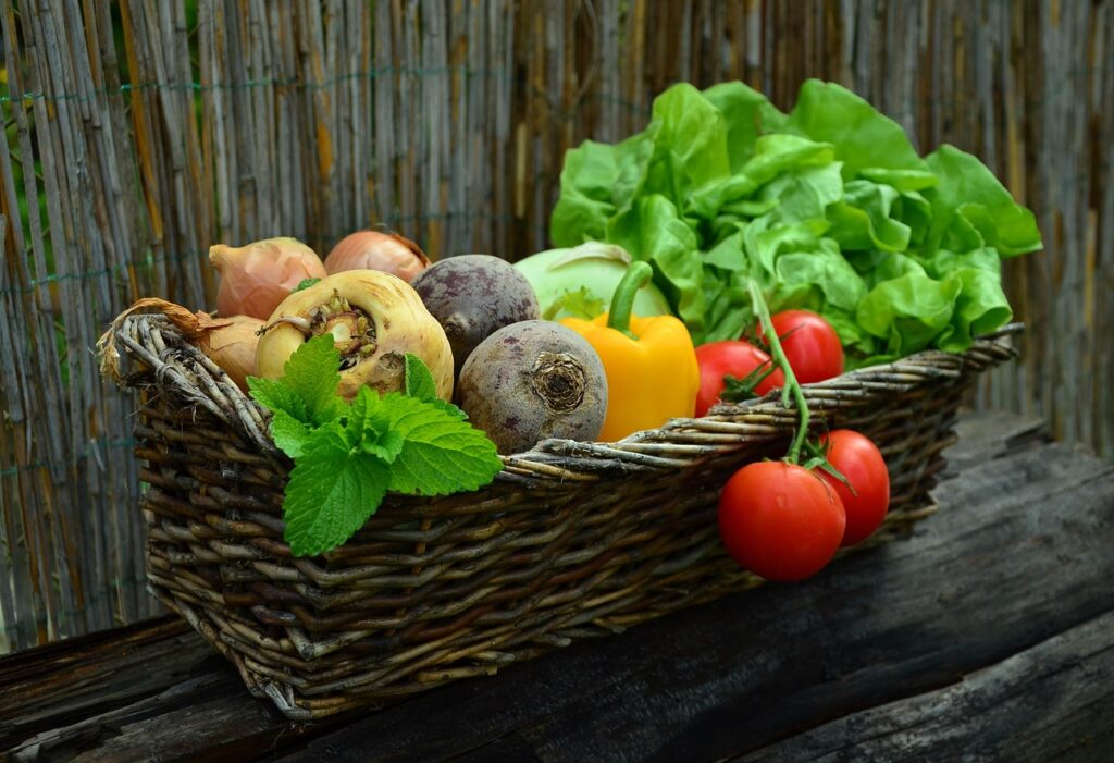 一人暮らしで節約しながら野菜セットの効果を実感する方法は？