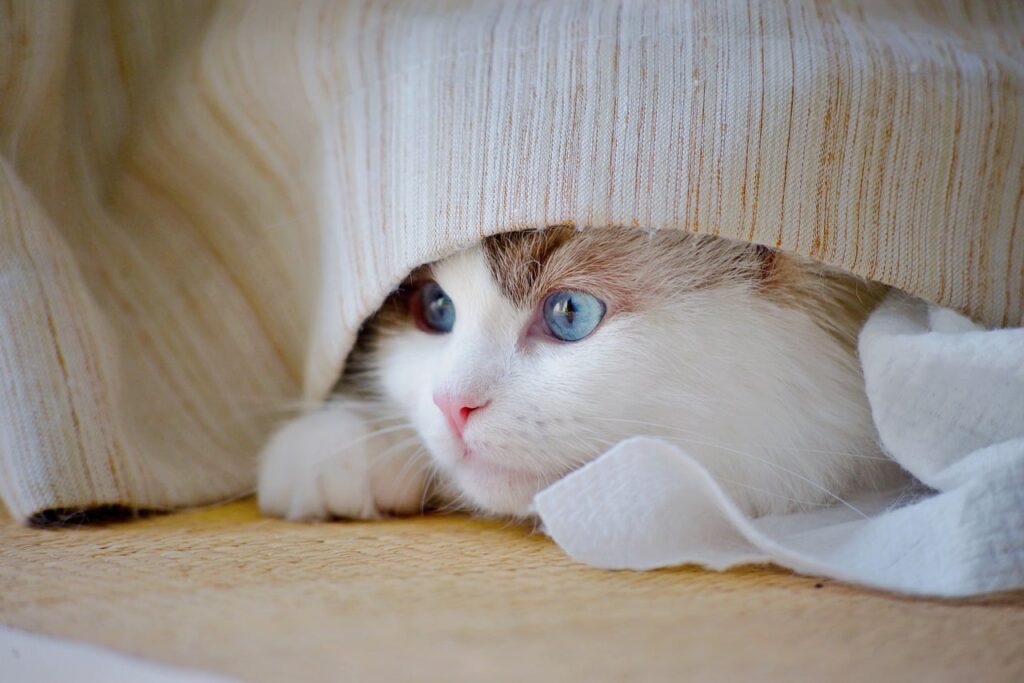 生活費を抑えるための効果的な方法は？