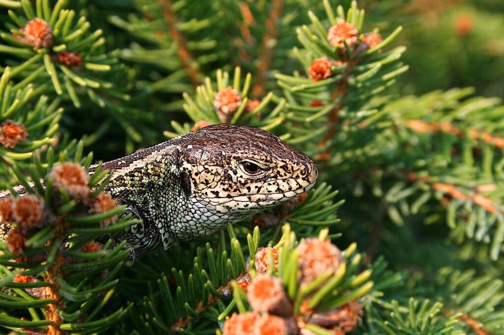 一人暮らしの食費はいくらかかるのが一般的なの？