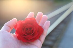 一人暮らしの家計簿はどうつける？効率的な方法を徹底解説！
