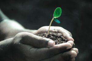 一人暮らしの生活費はどれくらい？実際の体験談から学ぶ節約術とは？
