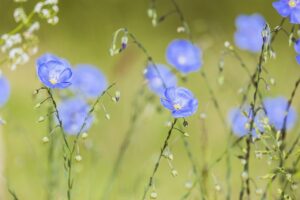 一人暮らしの家計簿アプリはどれが最適？